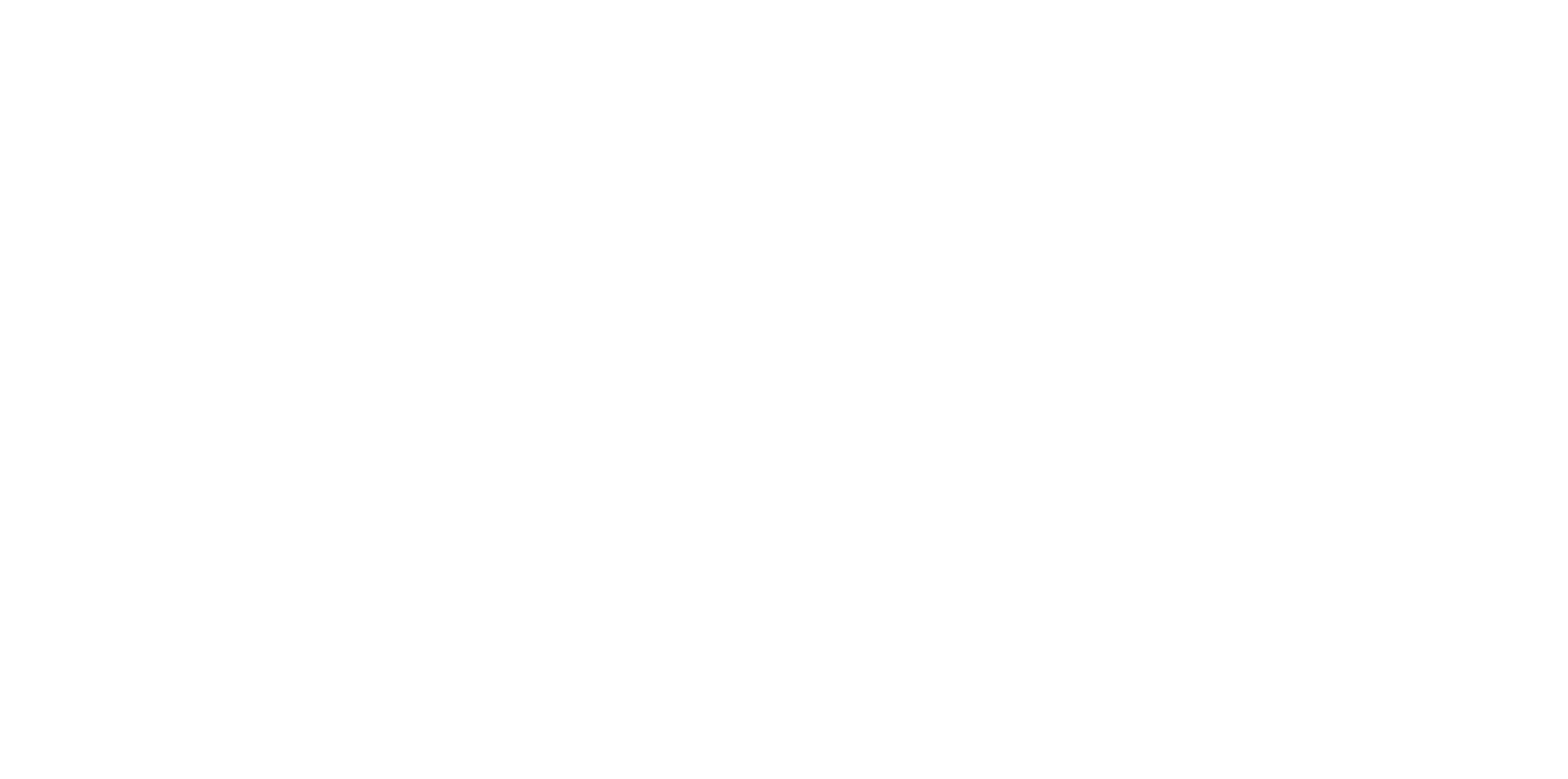 Compagnie Rêve de Lune
